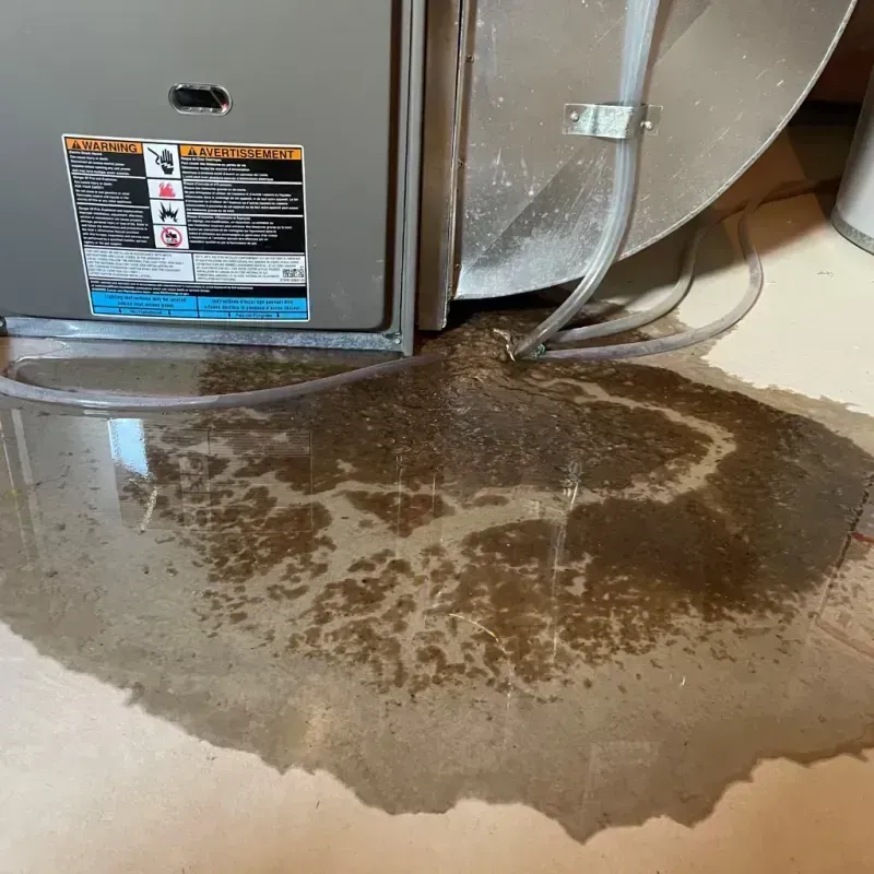 Appliance Leak Cleanup in Harding County, NM